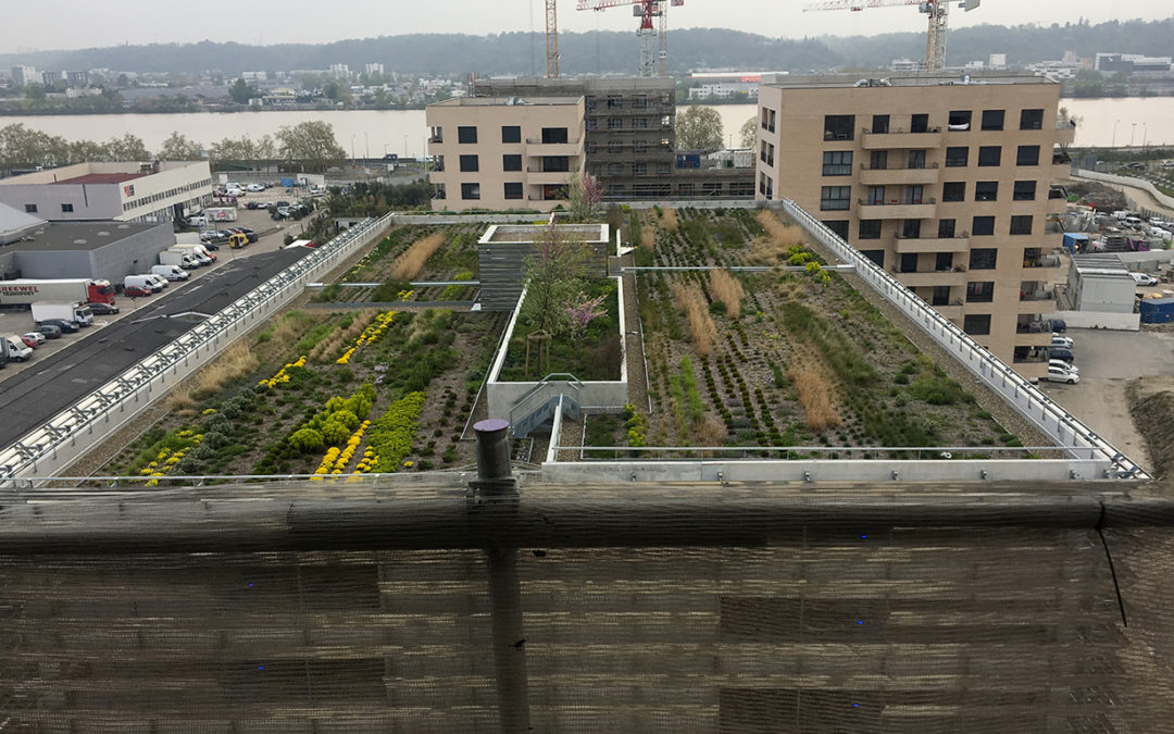 COBAREC et TECHNIVERT réalisent une terrasse jardin à BORDEAUX.